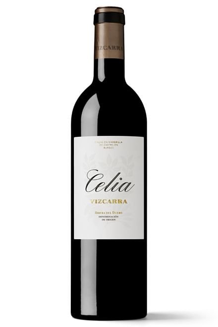 celia-vizcarra.jpg